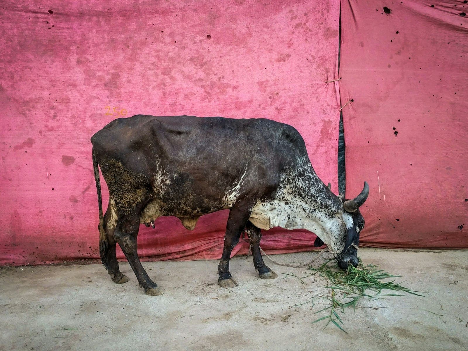 उत्तम भोजन (आहार) व्यवस्था