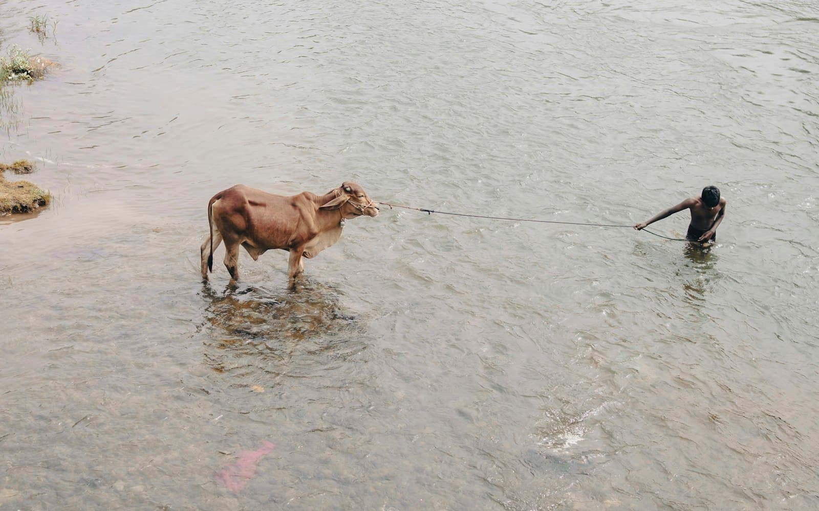 स्वच्छ जल की व्यवस्था